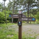 연초체육공원 이미지