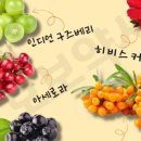 보보약국 이미지