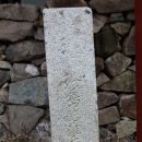 상만리 비자나무 이미지