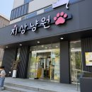 아이세상유치원 | 천안 아이와 가볼만한 곳 키즈카페와 고양이카페가 있는 지상냥원 실내 놀이터 후기