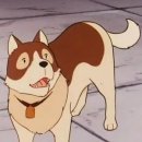 파트라슈 이미지