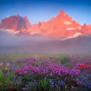 Shall We Dance 이미지