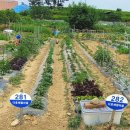 다호마을 이미지