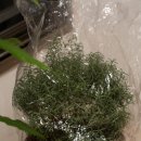 로즈마리세탁소 이미지