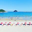 푸른바다 티스토리