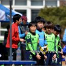 조촌초등학교 이미지