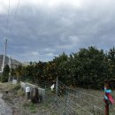 중우농장 이미지