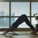 요가스튜디오숨 이미지