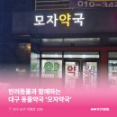 모자약국 이미지