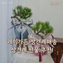 해송가든 | 부모님선물, 상견례선물추천 | 레미가든 해송으로 상견례 성공했어요!