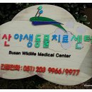 부산야생동물치료센터 이미지