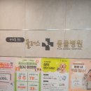 코아동물병원 | [부산 해운대] 장산역 고양이 동물 병원 내돈내산 스케일링 잘해주는 :: 플러스 동물 병원