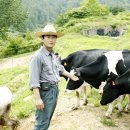 덕유목장 이미지