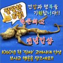 8월 건강축복기원 천년인삼 구경하세요 이미지