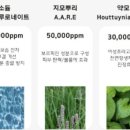 더뉴런 이미지