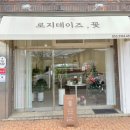 로지 데이즈