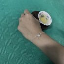 라모타A 이미지