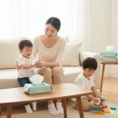 에코스마트2 | 안전한 대용량 유아용 물티슈 추천: 스마트에코 모데라토 물티슈 후기