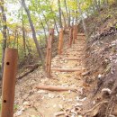 왕피천생태탐방로 이미지