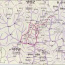 솔치주유소 Daum카페