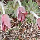 대구광역시 북구 어울아트센터 이미지