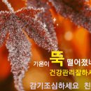 띠궁합 정리 : 띠 별 궁합 알아보기 이미지