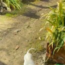 해뜨는집 이미지