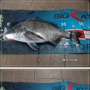 낚시인의 집 이미지