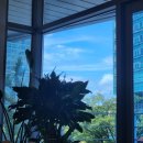 스테이550 이미지