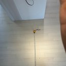 부엌 펜던트 뭐 고르지(플랫포인트 ,일광전구, 아고라이팅,와드)