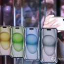 15 이미지