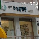 대치수동물병원 | 강남동물병원 대치수동물병원 진료 항목별 확인 포인트 정리