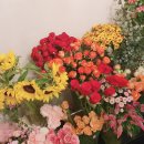 크리스탈플레르