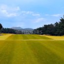 플레이골프 | 해비치CC 제주 2인골프 추천 플레이 솔직후기 2월 3월 제주 날씨 골프장