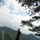 선유담 Daum카페