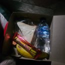 에이스지프 | [인도네시아 발리] Day_3💚 ep1. 정신없었던 지프투어(네이버 팀에이스 발리)-바투르산/블랙라바/플로팅템플