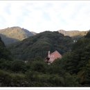 새골민박 Daum카페