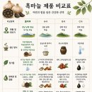 명문건강보조식품 | 흑마늘효과, 유기농 흑마늘진액 건강보조식품 후기