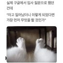 냥고스틴