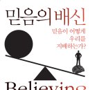 믿음맥과이어 이미지