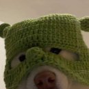 겨울이와여름이 이미지