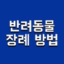 봉 동물병원 | 반려동물 장례 방법 및 장례식장 비용
