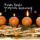 이쁜여우 Daum카페