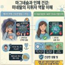 천연에너지발전소 | 마그네슘 효능 알아보기