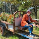 칠곡양떼목장 이미지