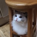 쿤PC방 이미지