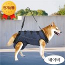센터에 재입소한 귀티에요~ 이미지