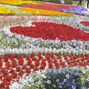 장미모텔 이미지