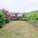 장미의거리10 이미지