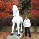 인태농장 이미지